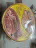 统一满汉大餐 川式销魂麻辣牛肉面 碗面 195g*1碗 方便面速食面泡面  实拍图