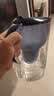 碧然德（BRITA） 家用滤水壶 净水壶滤芯 Maxtra 多效滤芯 6枚装 实拍图