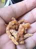 赶海弟 八星金钩海米200g虾米虾干 青岛大虾仁干礼盒 火锅食材 南北干货 实拍图