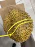京鲜生 进口金枕头鲜榴莲 净重5-6斤 1个装 新鲜榴莲 水果教师节送礼 实拍图