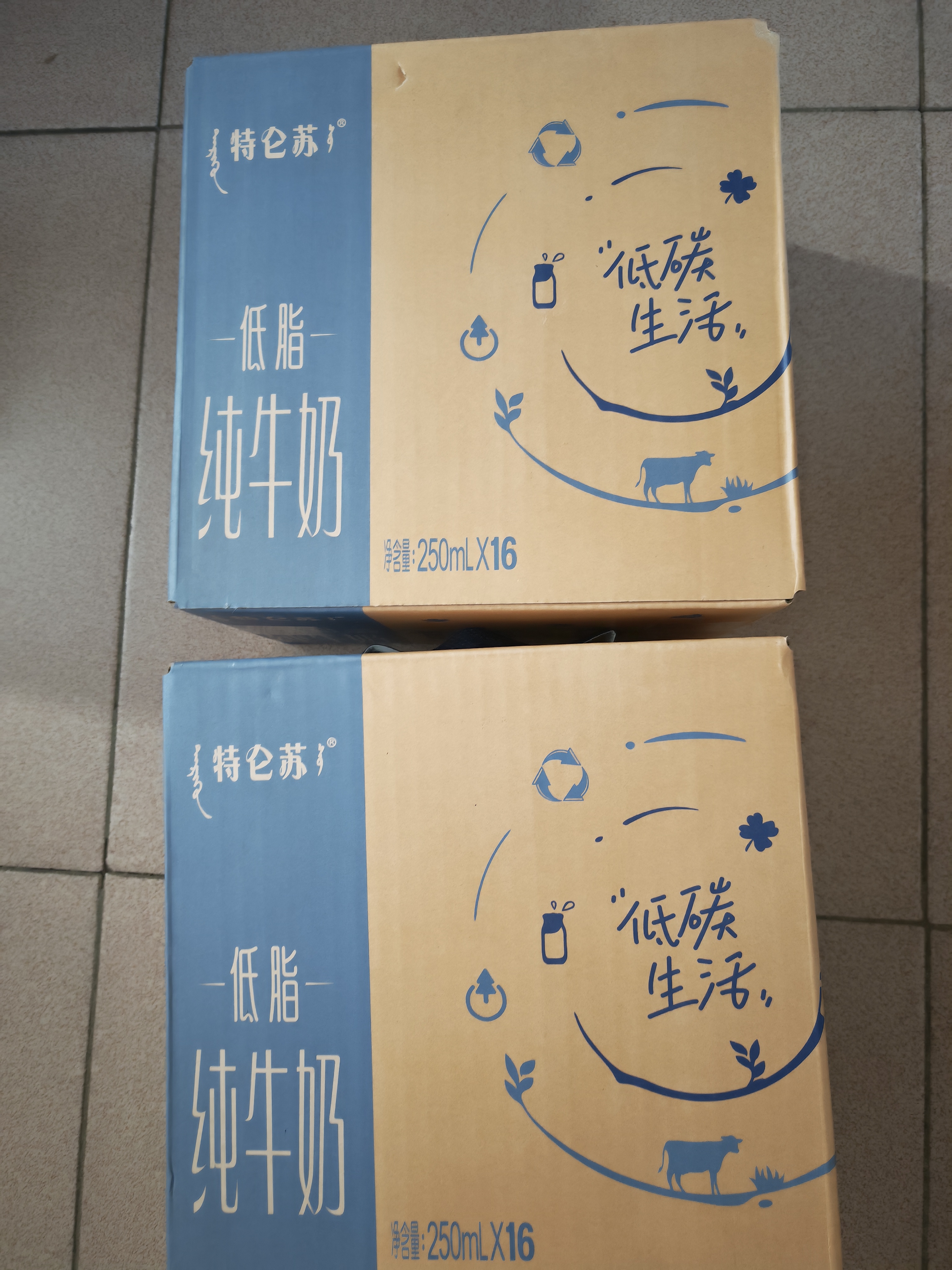蒙牛特仑苏低脂纯牛奶250ml×16盒 健身减脂 中秋送礼礼盒 实拍图