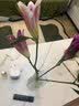 AB级优质香水百合鲜花水培插花家庭生活水养鲜切玫瑰云南产地直发 高品质【AB级随机色大花苞】百合花6朵+保鲜剂 实拍图