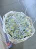 琐拉鲜花速递玫瑰花束求婚生日礼物送女友全国同城花店配送 52朵碎冰蓝玫瑰花束-送你星辰大海 实拍图