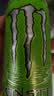 可口可乐（Coca-Cola）魔爪无糖超越仙境 能量饮料  功能饮料 330ml*24罐运动饮料 实拍图