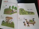 万物由来  6-14岁儿童大百科，孩子身边的科学，3200幅科普漫画讲述万物的前世今生（套装共6册） 实拍图