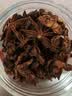 富昌 香辛料 大料200g桶装 八角茴香大料 火锅底料 调味料 佐料炖肉料 实拍图