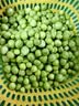 中鲜生 云南新鲜豌豆 甜豌豆新鲜蔬菜现摘豆角 净重3斤装【尝鲜装】鲜嫩饱满 实拍图