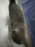 网易严选全价鲜鸡肉猫粮J40 生骨肉无谷主食冻干 成幼猫草本植萃1.5kg 实拍图