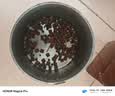 麦富迪狗粮 无谷牛肉双拼狗粮成犬 小型犬中大型犬通用10kg/20斤 实拍图