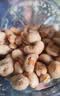 农香森 越南炭烧大腰果仁500g坚果罐装盐焗碳烧干果休闲零食熟散装称斤 实拍图