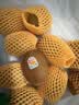 佳沛（zespri）新西兰金奇异果10个装单果重103-114g猕猴桃中秋节礼品送水果礼盒 实拍图