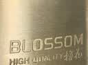 梅花（BLOSSOM）铜挂锁 u型锁 防水防锈长梁门锁 车厢柜门锁55MM BC076L 实拍图