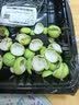 【荷塘月色】鲜莲蓬150g 实拍图