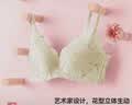 都市丽人26新款内衣女无钢圈文胸聚拢中薄款乳罩波斯菊蕾丝胸罩2B9506 实拍图