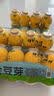 金豆芽金银花柚子汁儿童果汁饮品送礼盒装户外便携饮料100ml*13袋 实拍图