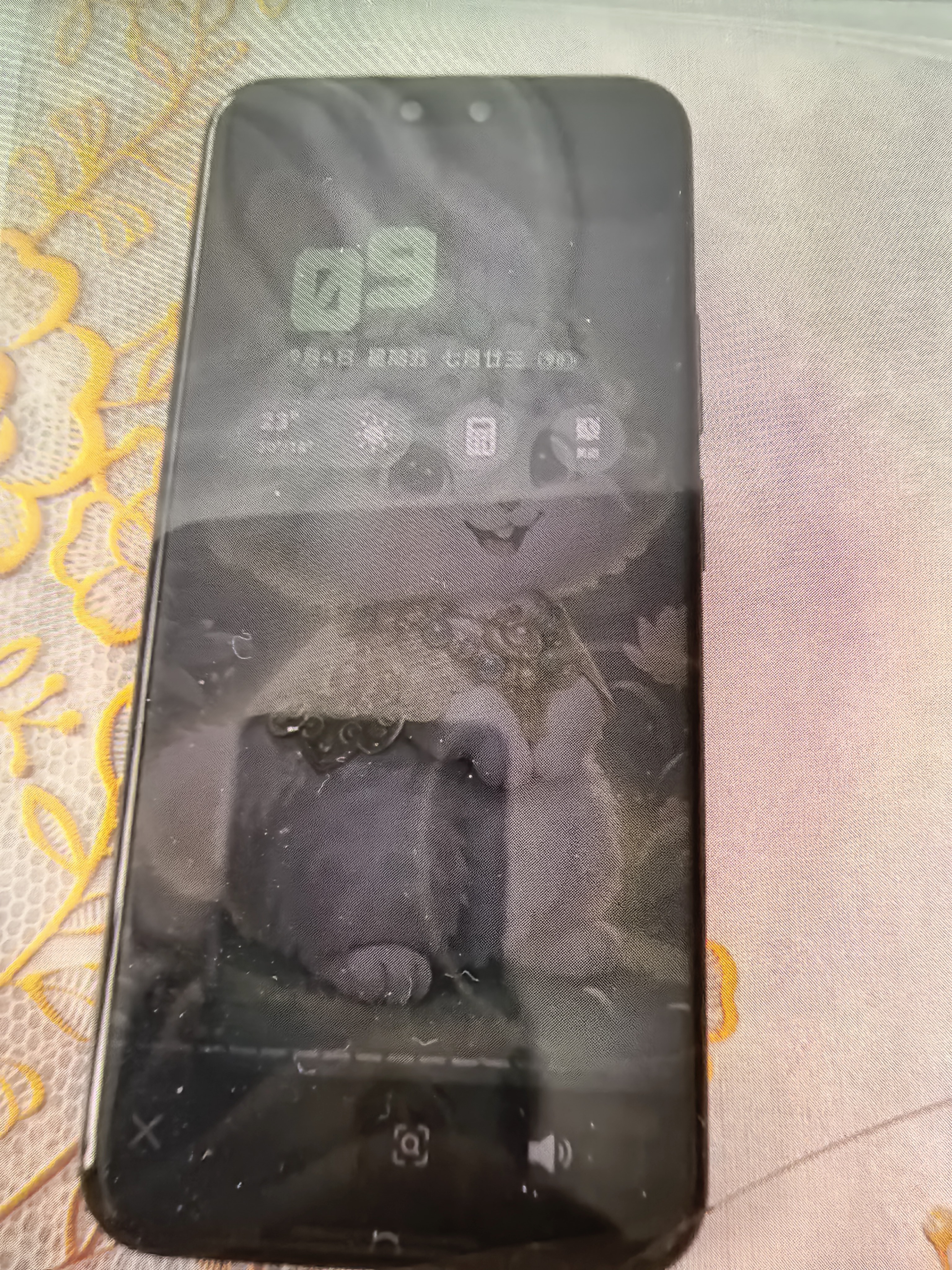 华为 nova 14 Ultra  256GB 曜金黑 全焦段红枫质感人像 天通北斗双卫星通信 华为手机鸿蒙系统 实拍图