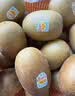 佳沛（zespri）新西兰阳光金奇异果6粒装88-103g猕猴桃水果中秋节礼品送水果礼盒 实拍图