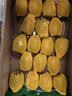 佳沛（zespri）新西兰金奇异果8粒超大果175-204g猕猴桃中秋节礼品送水果礼盒 实拍图