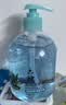 六神【草本芦荟】滋润洗手液500ml*1(清爽温和洁净泡沫均衡 滋润) 实拍图
