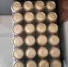 爱士堡德国进口拉格啤酒500ml*24听 精酿啤酒整箱装 京东自营 中秋送礼 实拍图