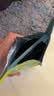 布卡星H1冻干仓鼠粮食金丝熊侏儒全价营养主粮500g 实拍图