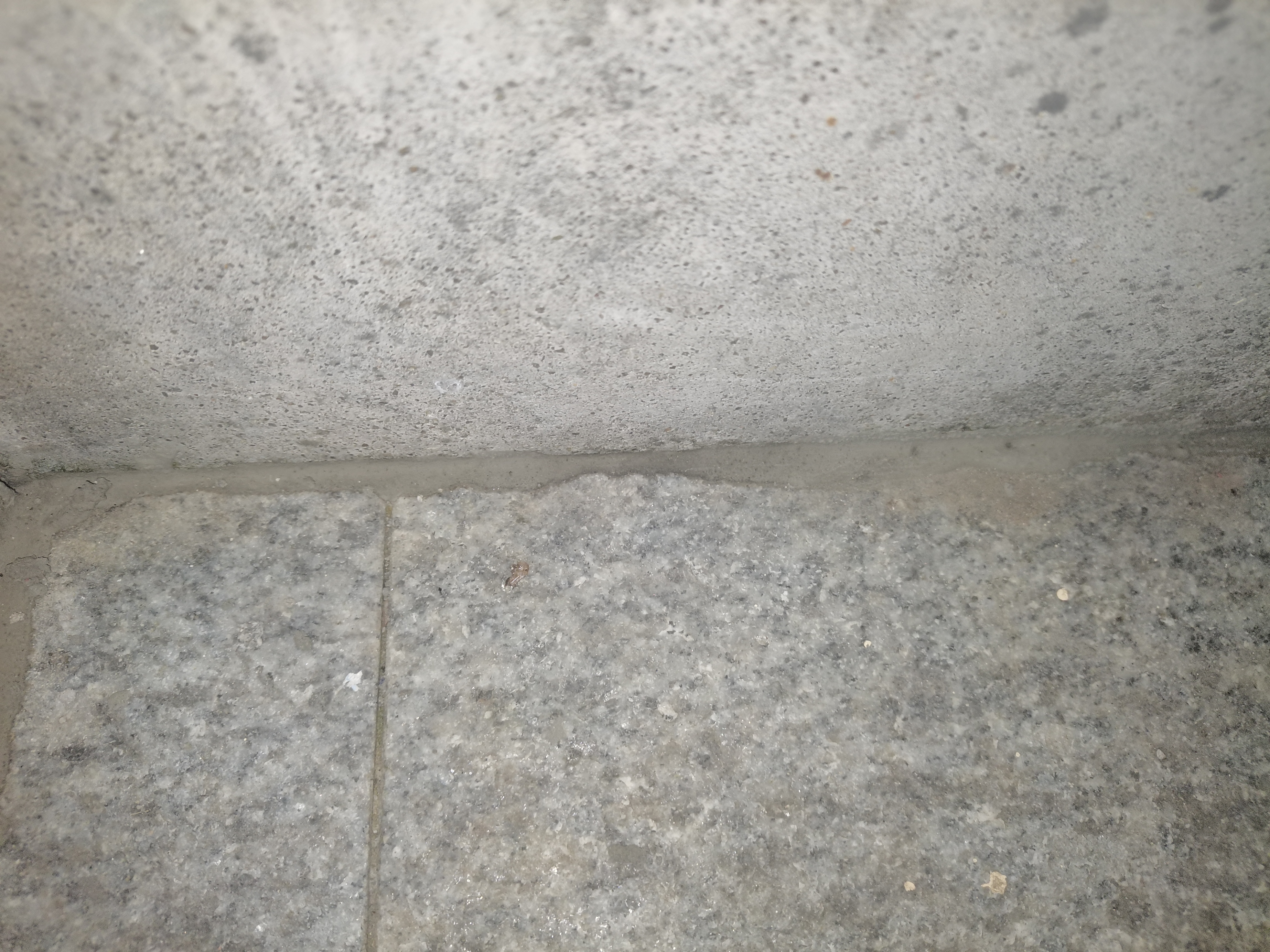 Allgll水泥地面修补料高强度起沙修复混凝土裂缝自流平防水快干抗裂砂浆 实拍图