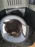 华元宠具（hoopet）猫咪航空箱宠物手提笼子狗狗托运箱车载猫包便携外出国航标准版M 实拍图