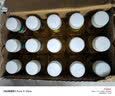 农夫山泉东方树叶绿茶500ml*15瓶无糖茶饮料0糖0脂0卡整箱装饮品 实拍图
