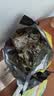 南方黑芝麻黑芝麻糊1000g/袋 营养早餐丨膳食纤维丨入口醇香丨零食丨食品 实拍图