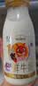 每日鲜语鲜牛奶 A2β-酪蛋白鲜牛奶185ml*6 巴氏杀菌乳 低温鲜奶 实拍图