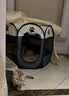 HELLOJOY猫笼子猫窝帐篷家用猫咪产房窝露营隔离生产房待产房猫产窝幼猫笼 实拍图