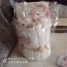 爱夕卡通毛绒玩偶花束生日礼物送女朋友送闺蜜教师节礼物送女老师 实拍图