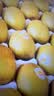 佳沛（zespri）新西兰金奇异果10粒巨大果146-175g猕猴桃中秋节礼品送水果礼盒 实拍图