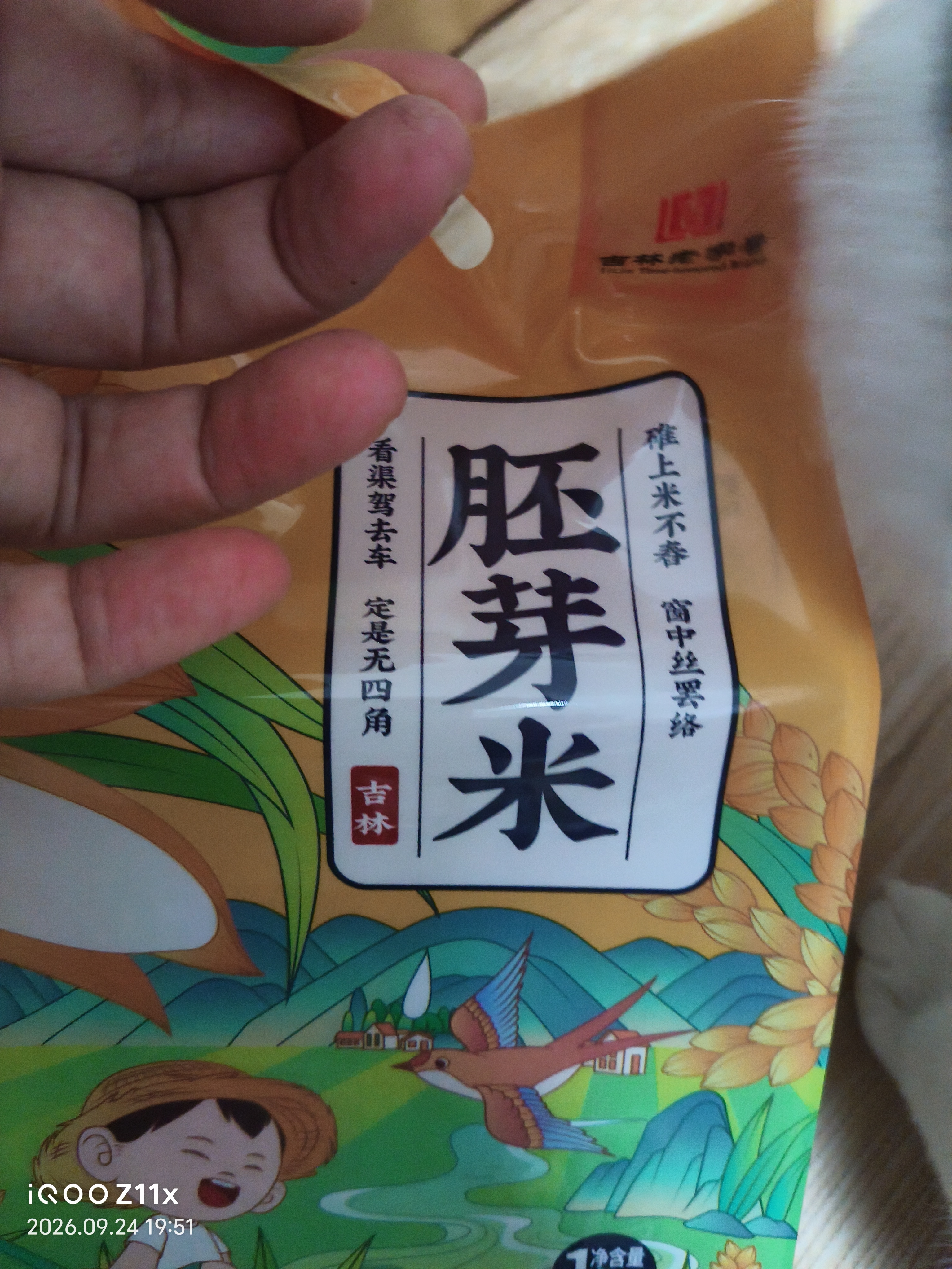老爷岭胚芽米 谷物粗粮营养 东北大米粳米  宝宝粥米 年货福利团购5斤 实拍图