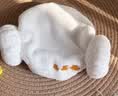 马博士儿童浴帽羊角帽女童宝宝洗头洗澡干发帽吸水包头巾小号 实拍图