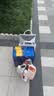 洋河传承52度500ml*2瓶 礼盒装 绵柔浓香型白酒 口粮酒 中秋送礼 实拍图