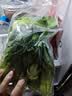 上海青约500g(油菜) 实拍图
