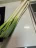 圆茄子约600g 实拍图