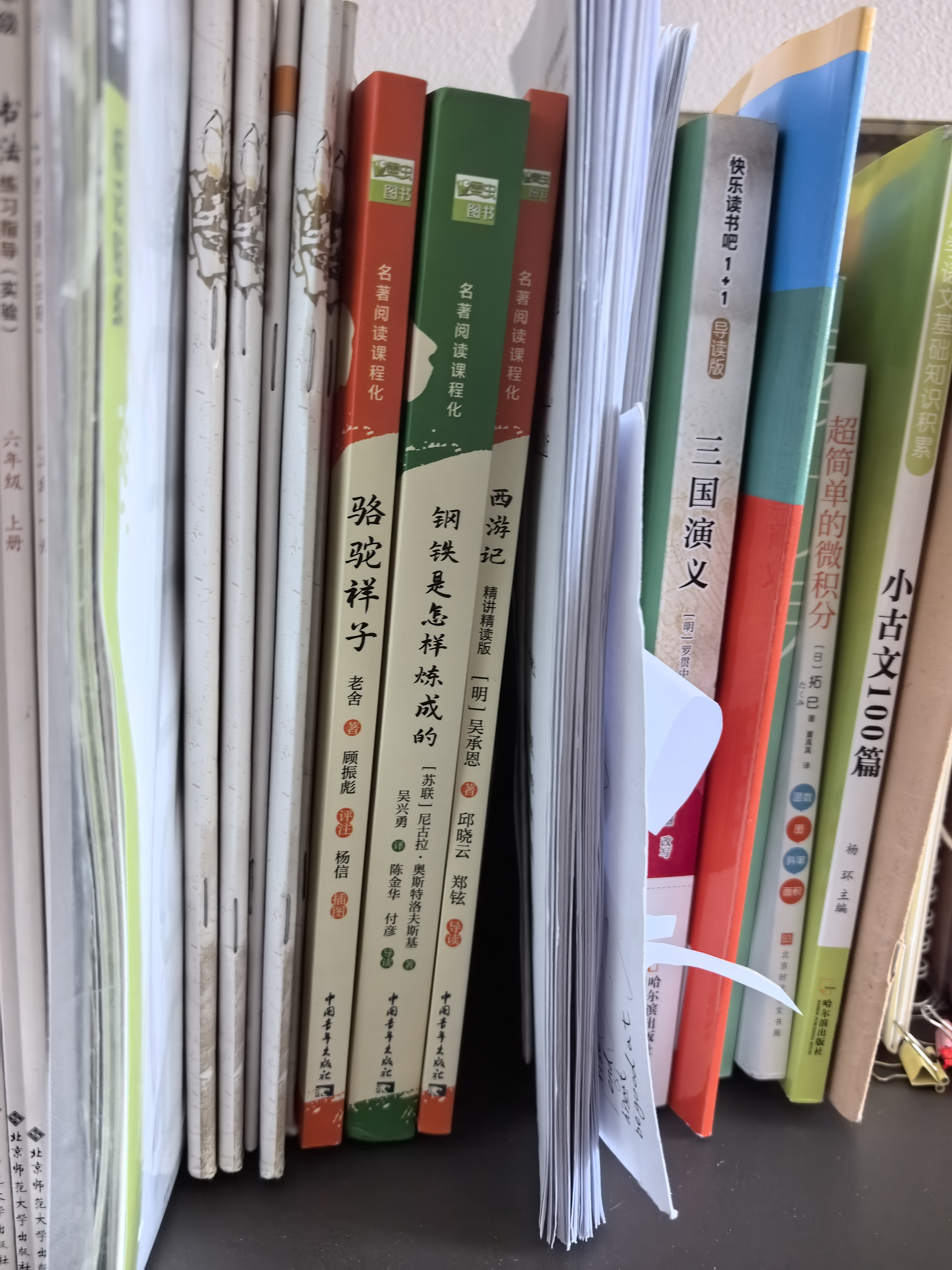 朝花夕拾+西游记+骆驼祥子+钢铁是怎样炼成的 七年级必读课外书原著正版（套装4册）（赠名师视频课） 实拍图