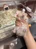 小米智能温湿度计3mini 桌面壁挂两用 小巧便携 高精度传感器 温湿两用 最长续航3年 接入米家生态 实拍图