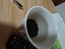 下关沱茶 茶叶 普洱茶 普洱熟茶 2021年易武茶区松鹤沱茶盒装 100g/盒 实拍图