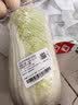 三宝白菜约650g(大娃娃菜) 实拍图