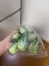 上海青约500g(油菜) 实拍图