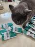 凯锐思猫条猫零食 猫条鱼肉条0添加0诱食剂湿粮混合口味猫咪零食 【滋养护肠胃】鱼肉条50支 实拍图