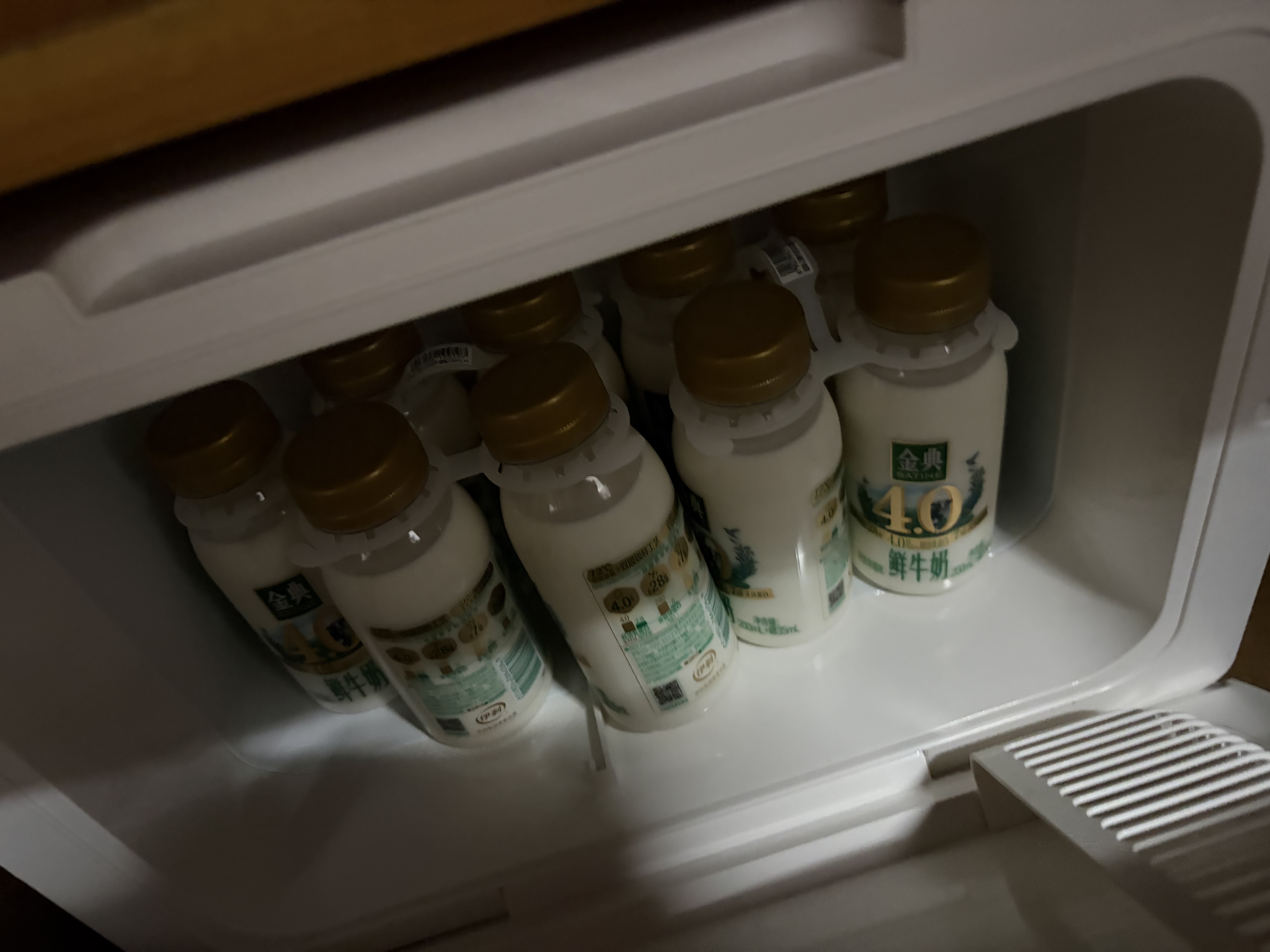澳柯玛车载冰箱小型迷你冰箱1人车家两用母乳存放宿舍租房冷暖箱AC-12R 实拍图