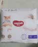 好奇（Huggies）软萌星人柯基裤拉拉裤XXL26片(15kg以上)尿不湿【软糯贴贴】 实拍图