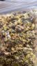 西湖牌茶叶花草茶特级杭白菊可搭配柠檬片组合花茶菊花茶120g袋 实拍图