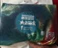 碧芭宝贝【尿裤免费送】大鱼海棠纸尿裤NB30片新生儿尿不湿 亲肤超薄透气 实拍图