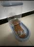 华元宠具超大容量宠物自动喂食器狗狗饮水机狗盆猫碗喂水猫咪投食器套装 实拍图