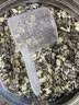 穗格氏（SHEGURZ）高钙牛乳燕麦片35g装 即食营养早餐牛奶麦片试吃装小条装 实拍图